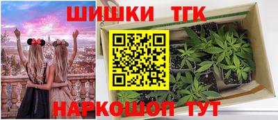 дживик Гай