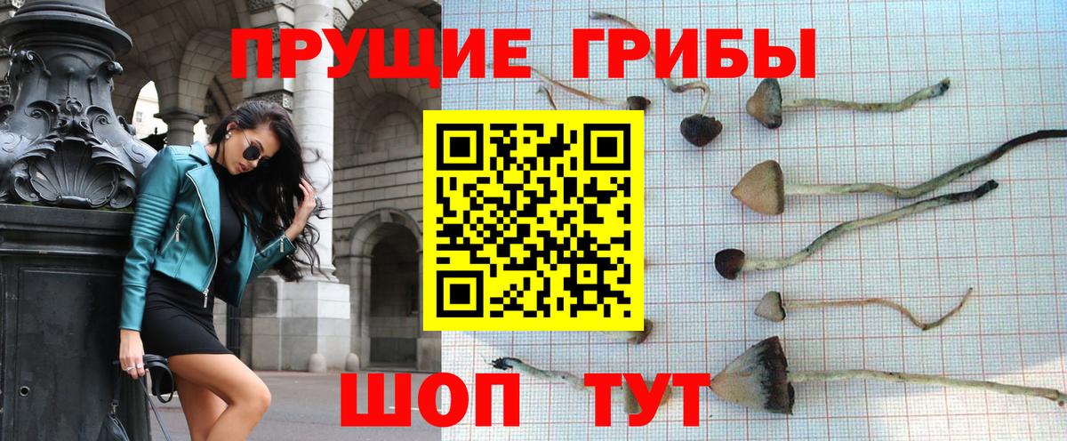 Псилоцибиновые грибы MAGIC MUSHROOMS Новокуйбышевск